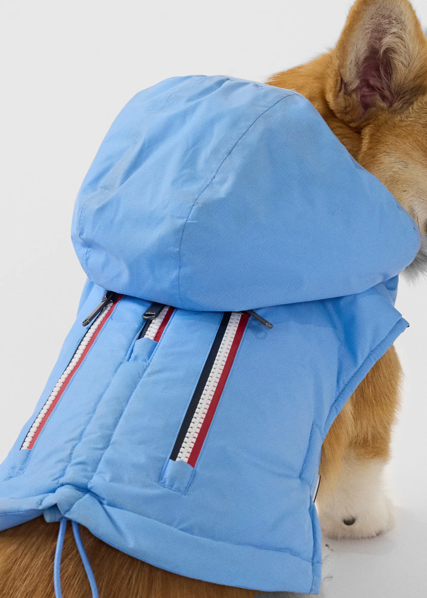 Imperméable pour chien Bleu cristal Balto - Image 3