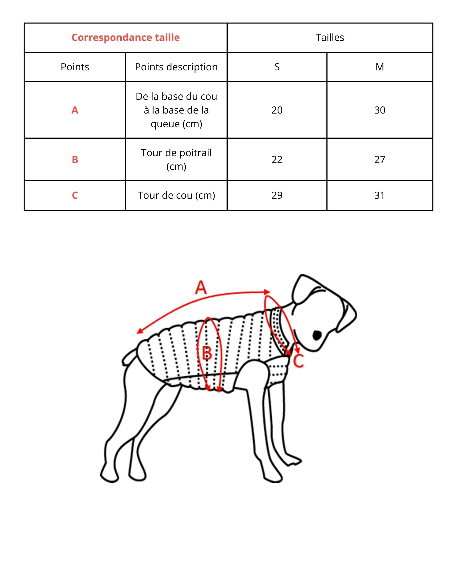 Imperméable pour chien Bleu cristal Balto - Image 4